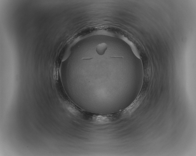 X0000113750180200909231139