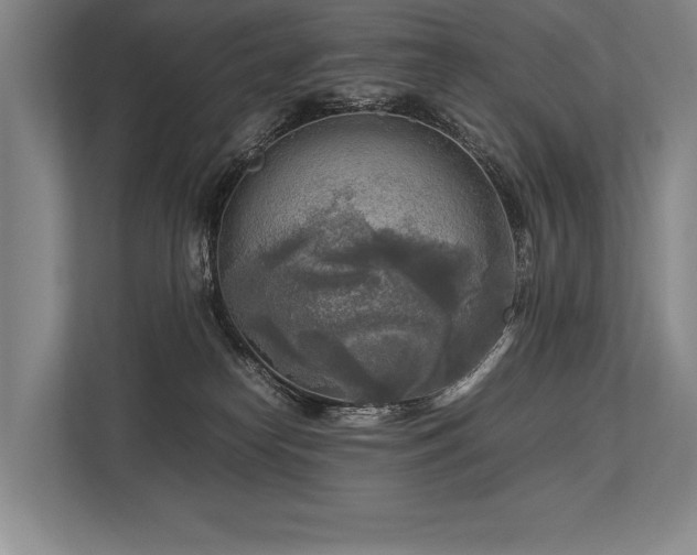 X0000113750182200909231139