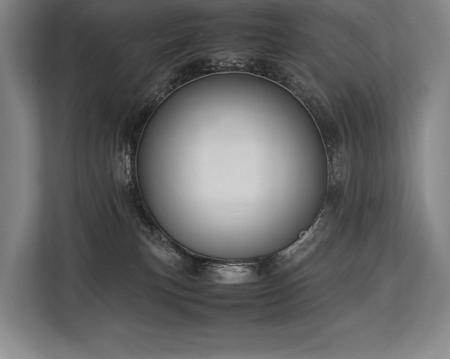 X0000113750183200909231139