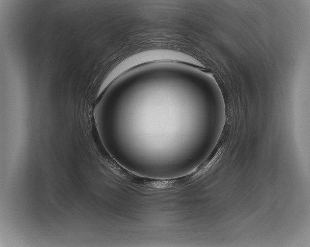 X0000113750184200909231139