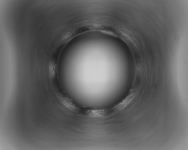 X0000113750188200909231139