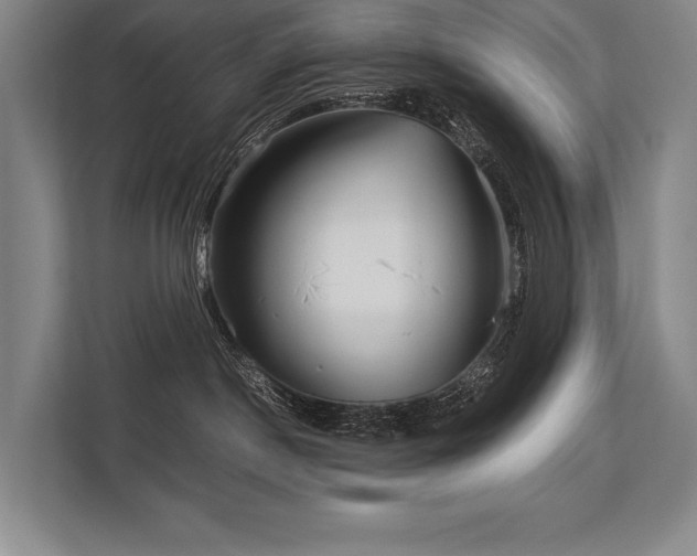 X0000113750190200909231139