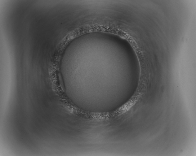 X0000113750192200909231139