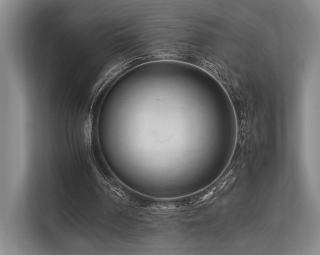 X0000113750194200909231139
