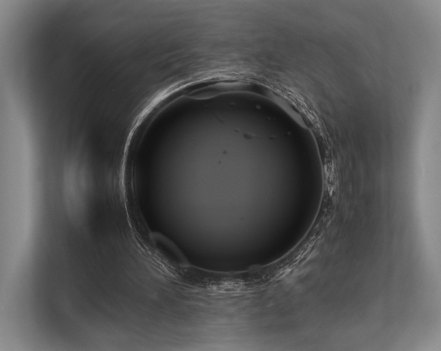 X0000113750196200909231139