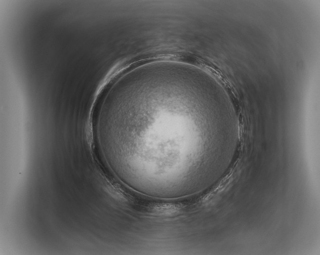 X0000113750198200909231138