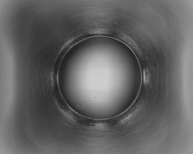 X0000113750204200909231138