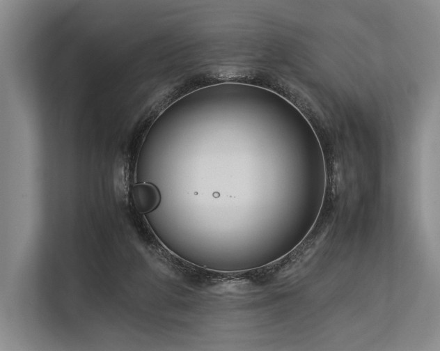 X0000113750210200909231138