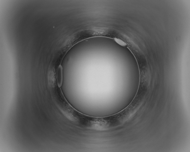 X0000113750215200909231138