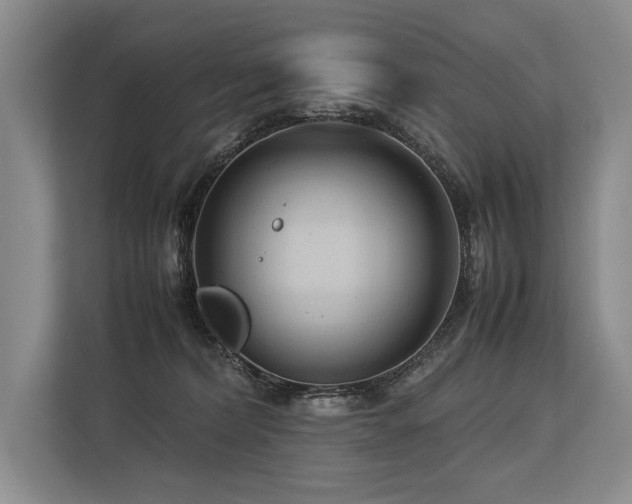 X0000113750228200909231138
