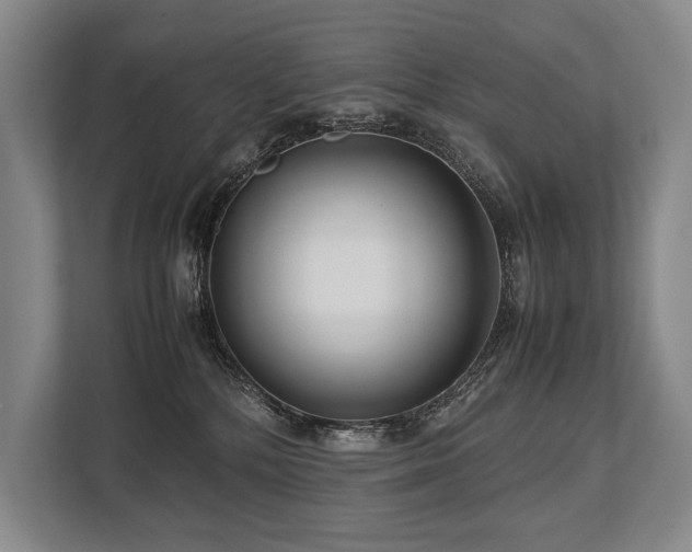 X0000113750232200909231138