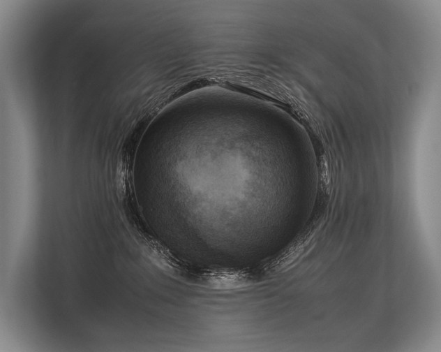 X0000113750235200909231138