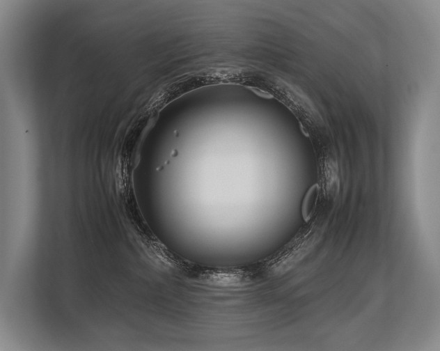 X0000113750236200909231138