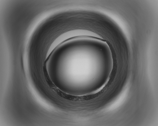 X0000113750239200909231138