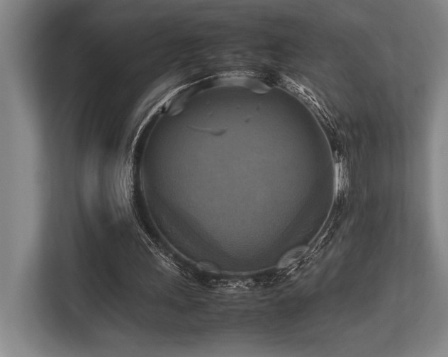 X0000113750243200909231137
