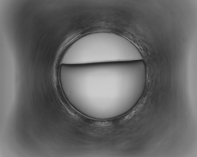 X0000113750245200909231137