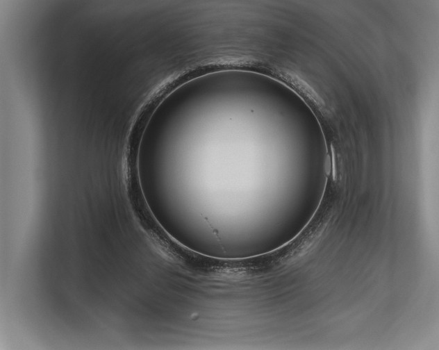 X0000113750252200909231137