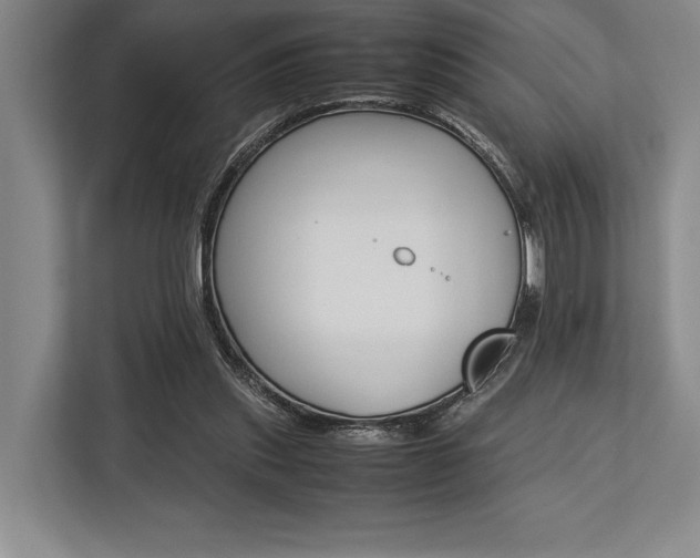 X0000113750253200909231137