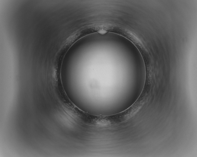 X0000113750258200909231137