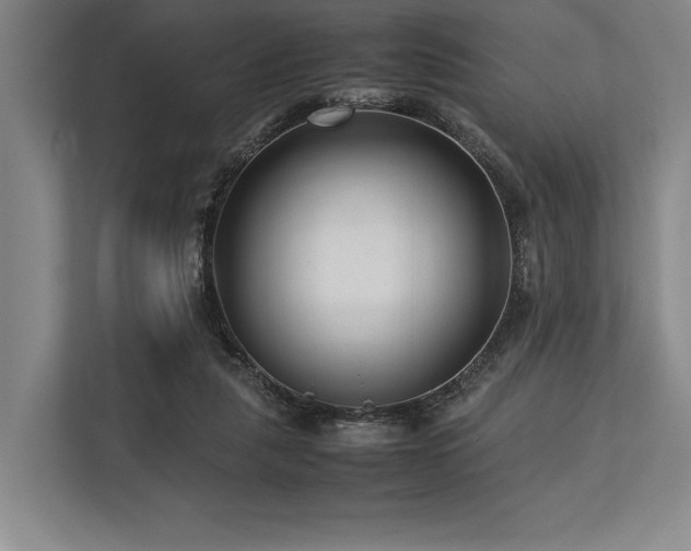 X0000113750259200909231137
