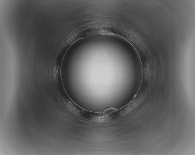 X0000113750278200909231138