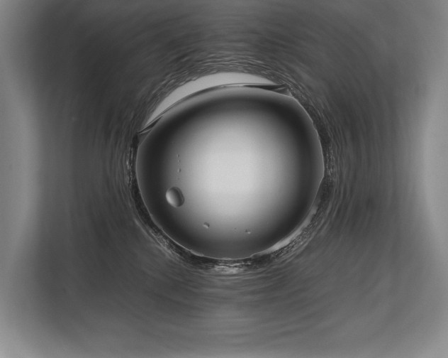 X0000113750280200909231138