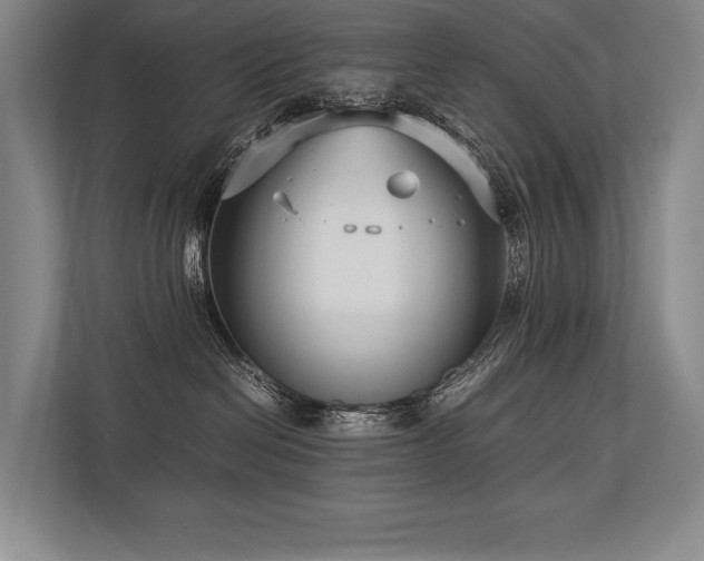 X0000113750286200909231138