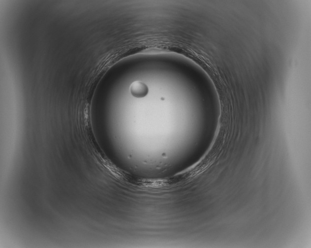 X0000113750288200909231138