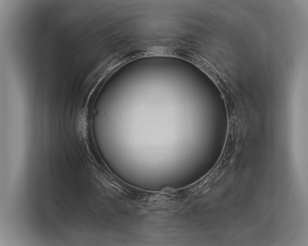 X0000113750290200909231137