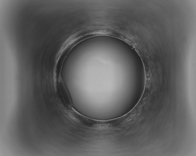 X0000113750296200909231137