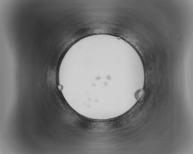 X0000113750297200909231137