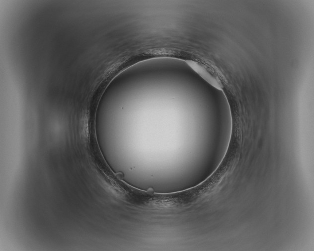 X0000113750299200909231137