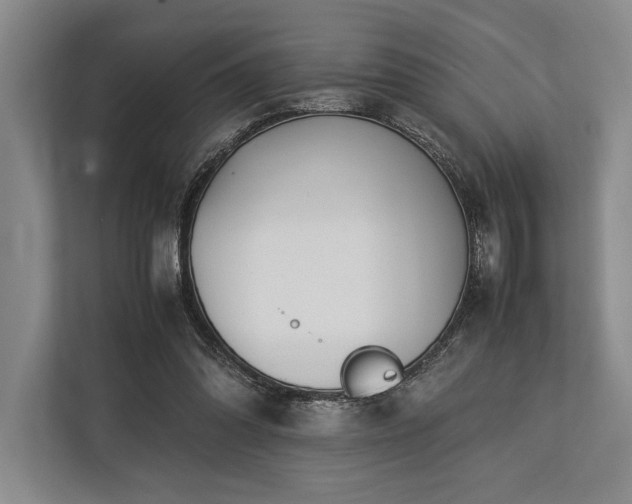 X0000113750302200909231137