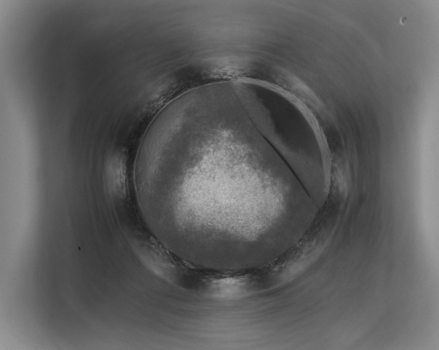 X0000113750312200909231137