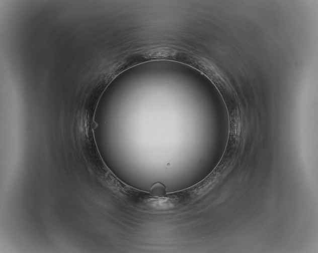 X0000113750326200909231137