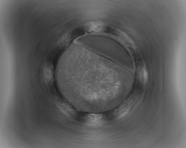 X0000113750328200909231137
