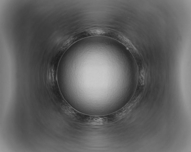 X0000113750330200909231137