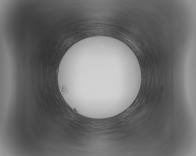 X0000113750333200909231137