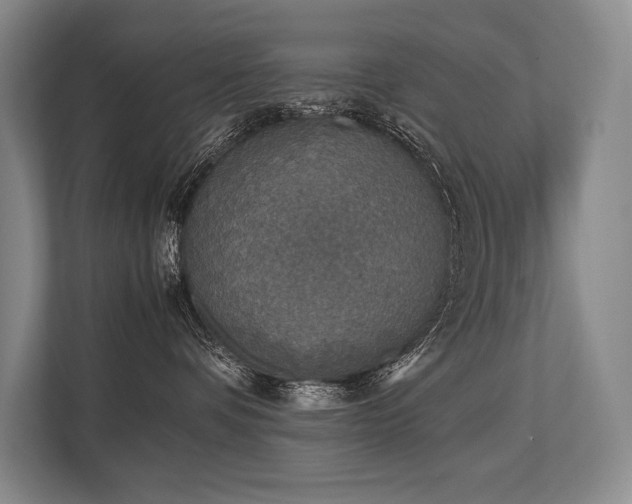 X0000113750336200909231137