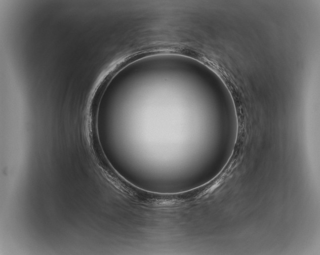 X0000113750342200909231136
