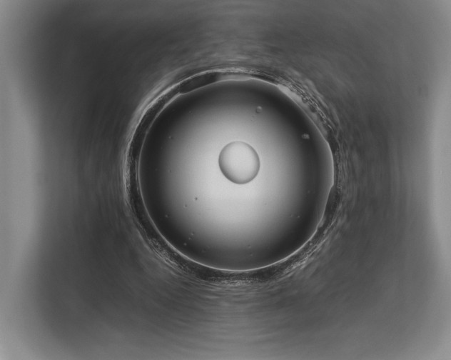 X0000113750344200909231136
