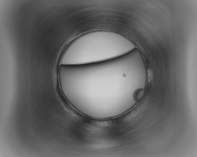X0000113750349200909231136