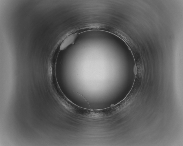 X0000113750350200909231136