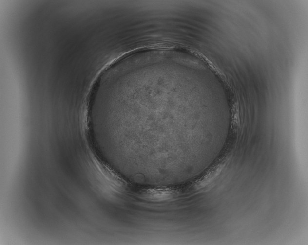 X0000113750351200909231136