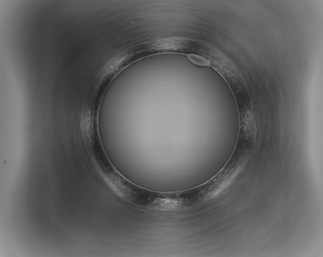 X0000113750352200909231136