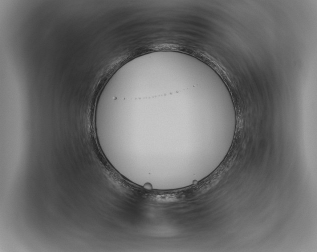 X0000113750353200909231136