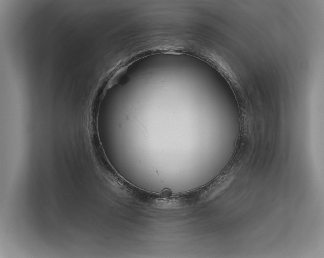 X0000113750354200909231136