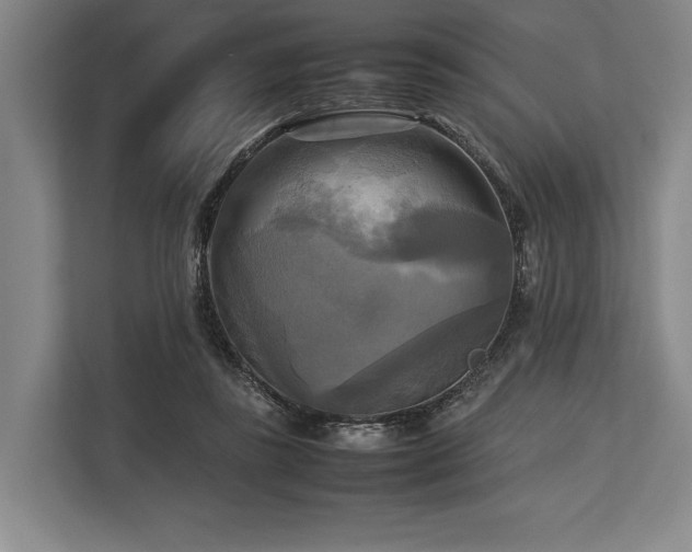 X0000113750355200909231136