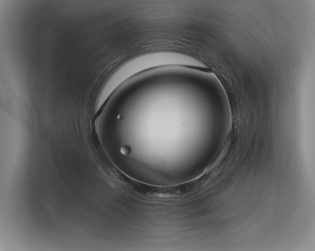 X0000113750360200909231136
