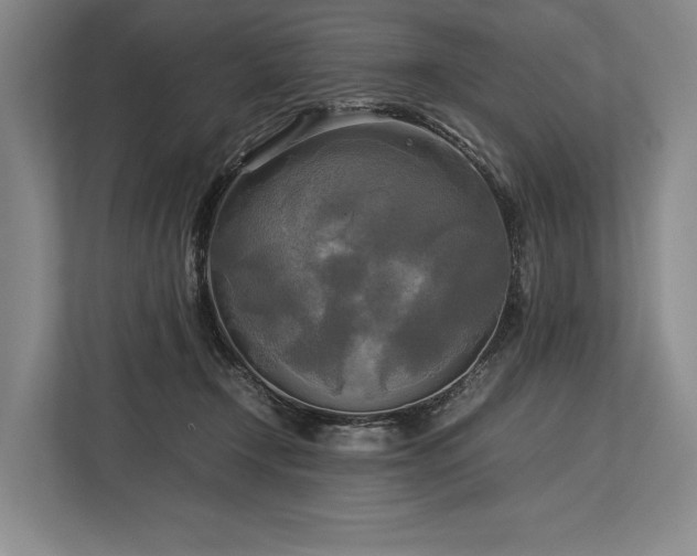 X0000113750366200909231136